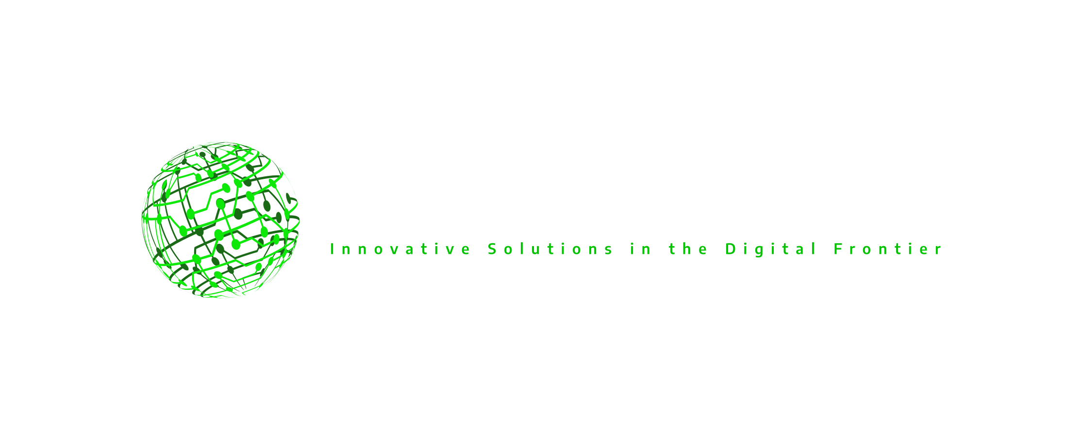 Data Point Solutions Logo